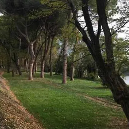 Bonaini Guest house
